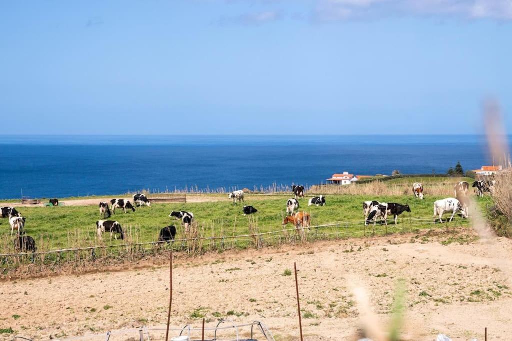 Country House In Azores - S. Miguel Ribeira Grande Extérieur photo
