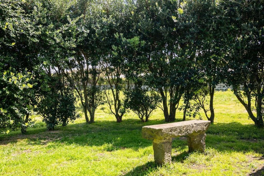 Country House In Azores - S. Miguel Ribeira Grande Extérieur photo