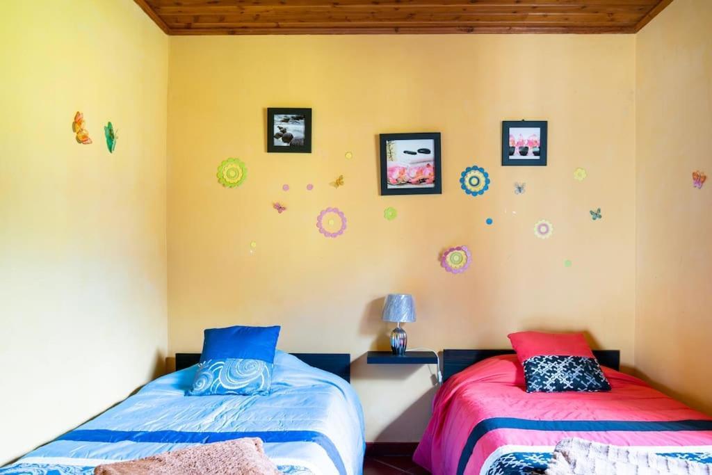 Country House In Azores - S. Miguel Ribeira Grande Extérieur photo