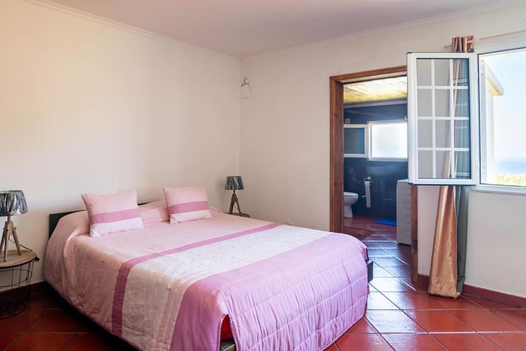 Country House In Azores - S. Miguel Ribeira Grande Extérieur photo